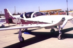 Glasair With Wild Paint Job