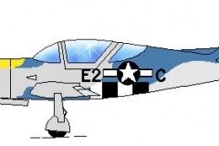 P-51 Mustang Paint Scheme