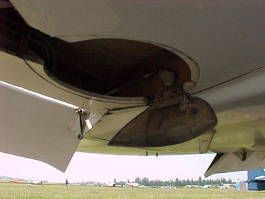Landing Gear Door Detail